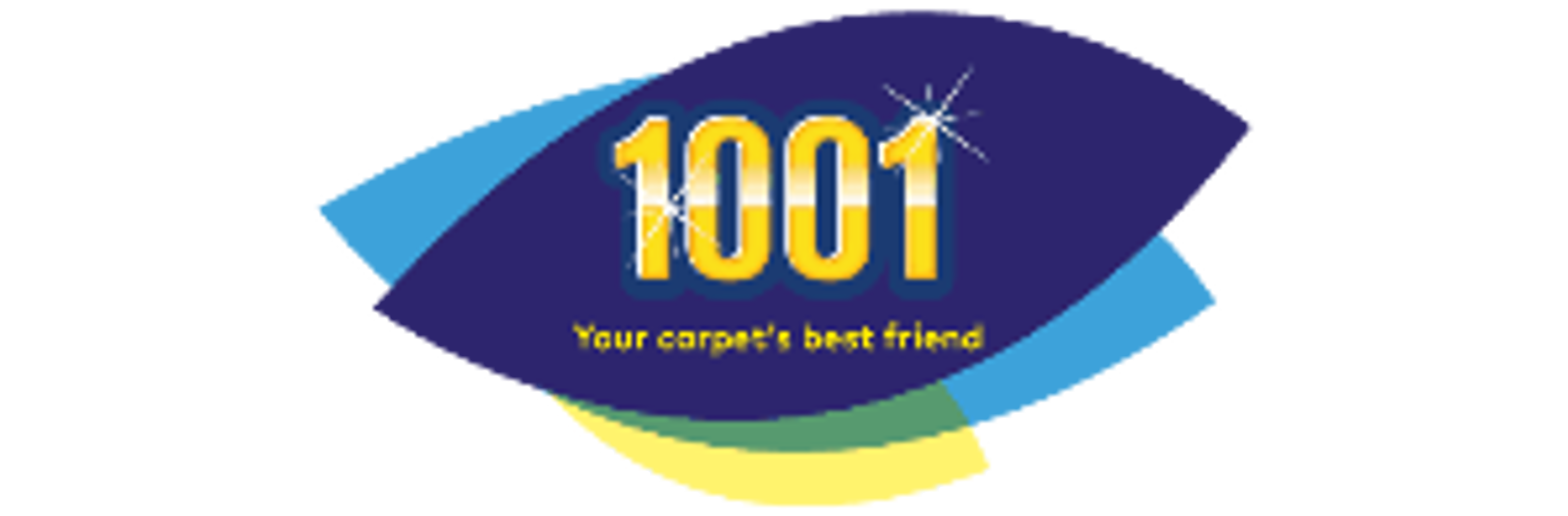 1001 Carpet Cleaning